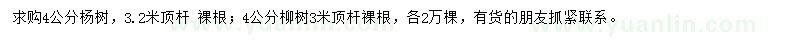 求購4公分107楊樹、柳樹 