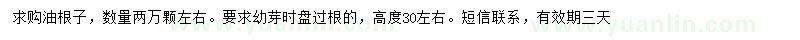 求購(gòu)高30公分油根子