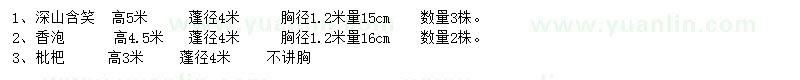 求購(gòu)深山含笑、香泡樹(shù)、枇杷樹(shù)