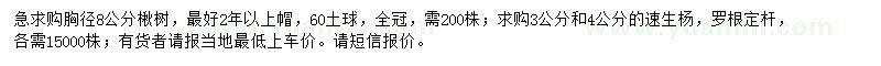 求購胸徑8公分楸樹、3、4公分速生楊