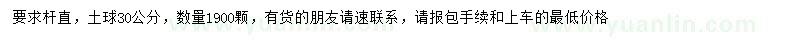 求購30處量3.5公分桂花