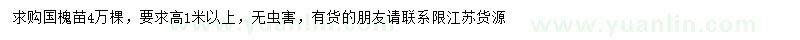 求購高1米以上國槐苗
