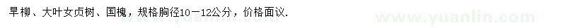 求購旱柳、大葉女貞、國槐