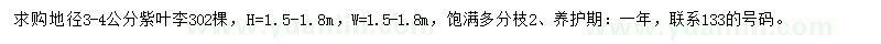 求購地徑3-4公分紫葉李
