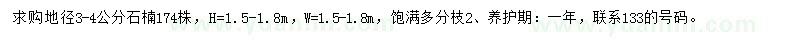 求購地徑3-4公分石楠