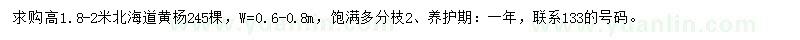 求購高1.8-2米北海道黃楊