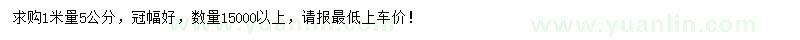 求購1米量5公分廣玉蘭