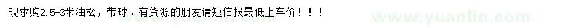 求購2.5-3米油松