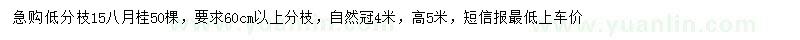 求購15公分八月桂