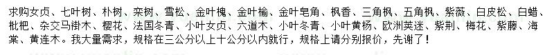 求購女貞、七葉樹、樸樹等