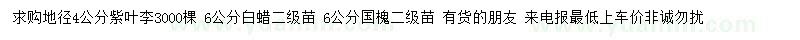 求購紫葉李、白蠟、國槐