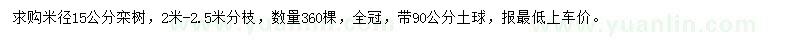 求購米徑15公分欒樹