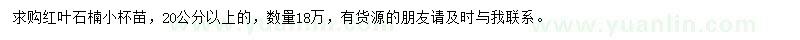 求購20公分以上紅葉石楠
