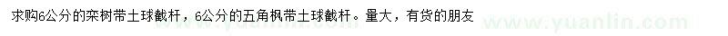求購6公分欒樹、五角楓