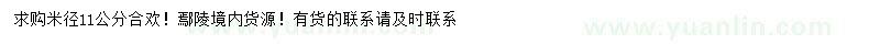 求購米徑11公分合歡