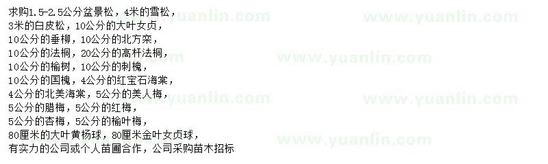 求購(gòu)盆景松、雪松、白皮松等