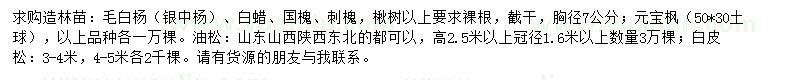 求購毛白楊、白蠟、國槐等