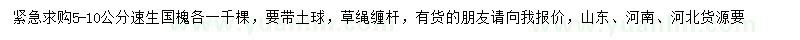 求購(gòu)5-10公分速生國(guó)槐