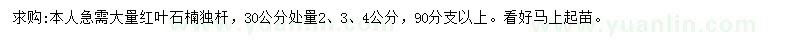 求購(gòu)30公分處量2、3、4公分紅葉石楠