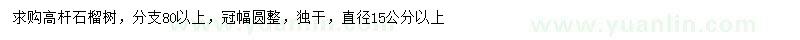 求購(gòu)直徑15公分以上石榴樹(shù)