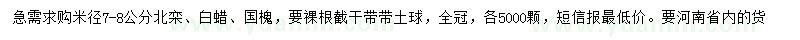 求購北京欒樹、白蠟、國槐