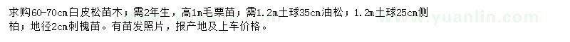 求購白皮松、毛栗、油松