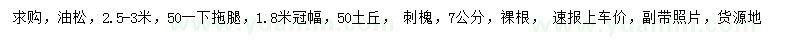 求購(gòu)2.5-3米油松、7公分刺槐