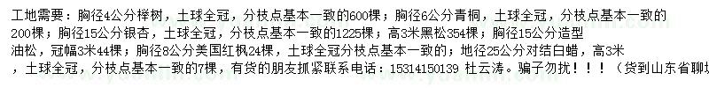 求購櫸樹、青桐、銀杏等