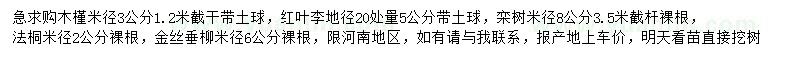 求購(gòu)木槿、紅葉李、欒樹(shù)等