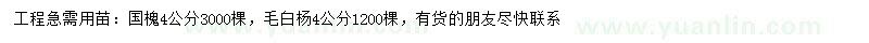 求購4公分國槐、毛白楊