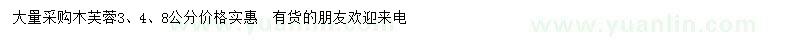 求購3、4、8公分木芙蓉