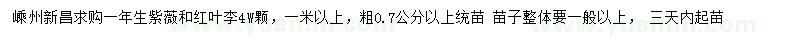 求購粗0.7公分以上紫薇、紅葉李