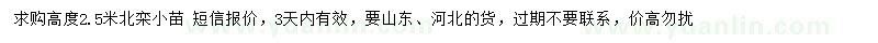 求購(gòu)高2.5米北欒小苗