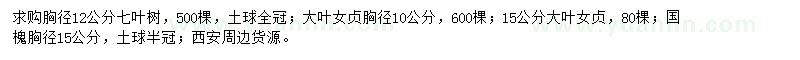 求購(gòu)七葉樹(shù)、大葉女貞、國(guó)槐