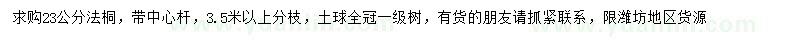 求購23公分法桐