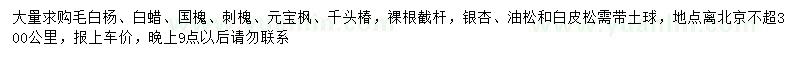 求購(gòu)毛白楊、白蠟、國(guó)槐等