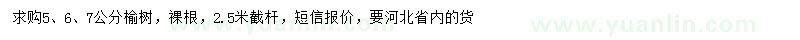 求購5、6、7公分榆樹