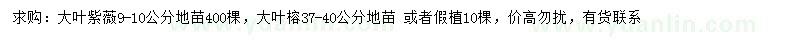 求購9-10公分大葉紫薇、37-40公分大葉榕
