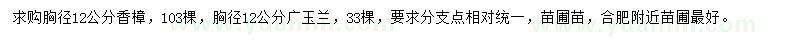 求購胸徑12公分香樟、胸徑12公分廣玉蘭