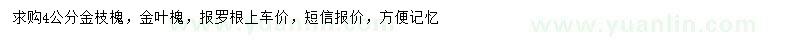 求購4公分金枝槐、金葉槐