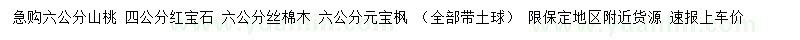 求購山桃、紅寶石、絲棉木等