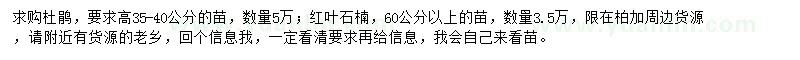 求購(gòu)高35-40公分杜鵑、60公分以上紅葉石楠