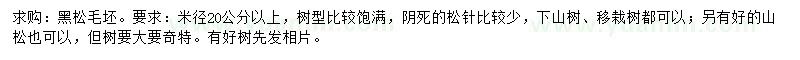求購(gòu)米徑20公分以上黑松