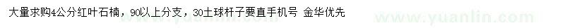 求購4公分紅葉石楠