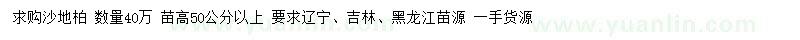 求購高50公分以上沙地柏