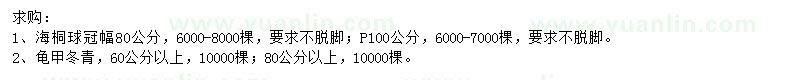 求購冠幅80、100公分海桐球、60、80公分以上龜甲冬青