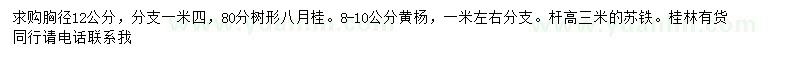 求購胸徑12公分八月桂、8-10公分黃楊