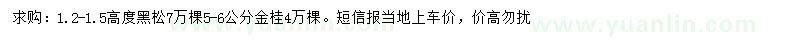 求購高1.2-1.5公分黑松、5-6公分金桂