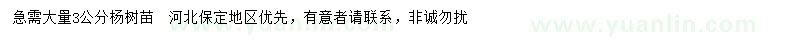 求購3公分楊樹