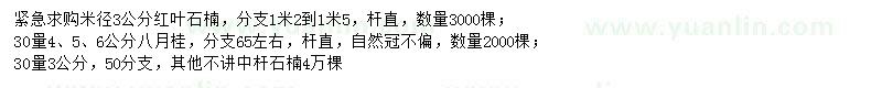 求購米徑3公分石楠、30量4、5、6公分八月桂